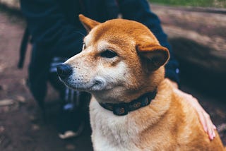 Take This One Step to Silence Anxiety