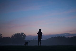 Evening Walkies