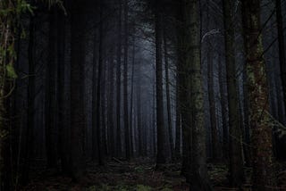 Dark, scary woods