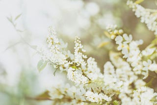 The Silver Lining of Grief