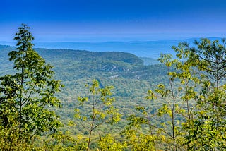 A View from the Overlook: