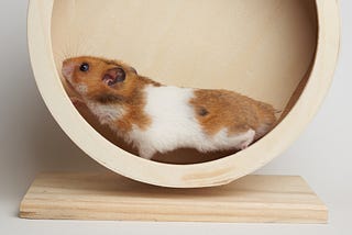 Hamster Wheel Dreams