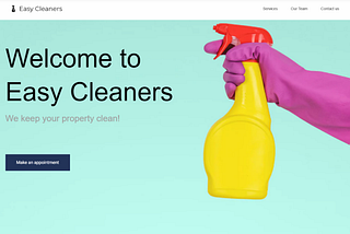 Best Professional Cleaning Company Website Templates and Themes