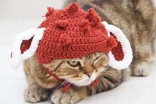 Why I’m Proclaiming Myself a Non-Expert