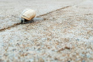 The Path on the Other Side of Adversity