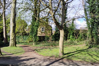 A view across a muddy path and rough grass through tall tree trunks, some with light green leaves, others covered in ivy. Beyond the trees, an ivy covered wall and the stone gable of a house with one four-paned window