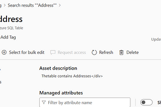 Update Data Asset Metadata in Microsoft Purview using REST API