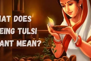 Unveiling The Mystery Of The Seeing Tulsi Plant In Dream Meaning!