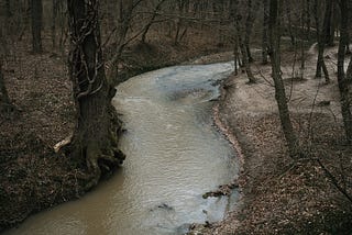 Medium Is Up Shit Creek