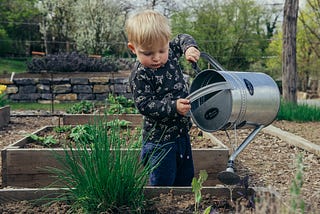 Frequently Asked Questions About Your New Vegetable Garden