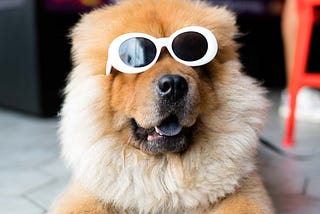 Beyond Looking Cool