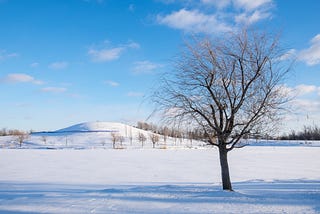 A snow covered field with a hill in the distance and a tree in the foreground.