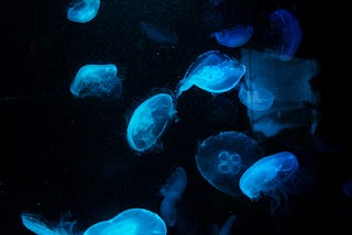 How to Do Deep Clone of Objects in JavaScript