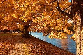 TURN THE PAIN INTO SOMETHING BEAUTIFUL…