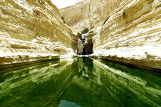 a green colored water hole in the desert rock