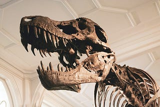 New Evidence Suggests T. Rex Has Deep American Roots