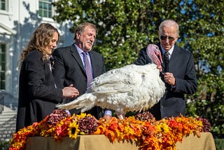 President Biden pardoning two turkeys as per annual tradition