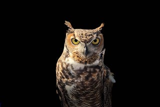 Knowledge Without Wisdom