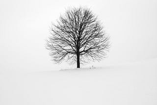 El árbol y la lectura