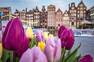 The Top 5 Must-Visit Places on Your First Trip to Amsterdam