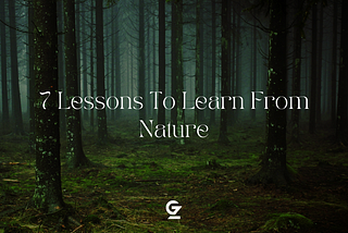 7 Lessons We Can Learn From Nature