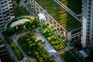 Green Roofs: Our Unlikely Weapon Against Climate Change