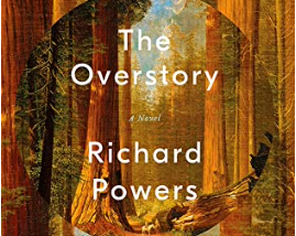 ‘The Overstory’ Unhinged Me