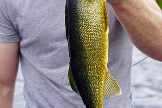 What Gear Do I Need for Walleye Fishing in Canada