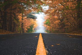 a no-ending pavement street with beautiful maple trees on two sides