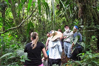 “We are all part of a Biological Community”: Why Respecting the Rights of the Tropical Andean Chocó…