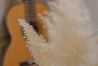 Fluffy white pampas grass in foreground, blurred guitar background.