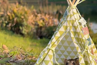 Ultimate Guide to the Perfect Hamster Tent