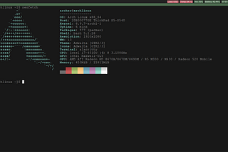 Ultimate Lightweight Linux?