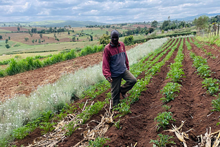 Soil and water conservation proving fruitful for Nakuru farmers