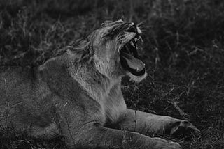Mercy Through the Blade: The Silent Law of Leadership