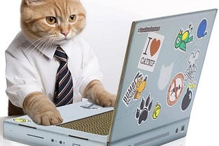 suck-uk-cat-laptop-scratch-pad-1