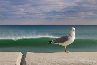 Emergency: Florida Plans To Build A 20-Foot Sea Wall