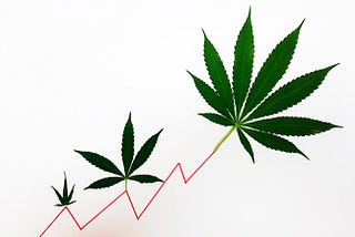 3 Marijuana Stocks To Add To Your Watch-list