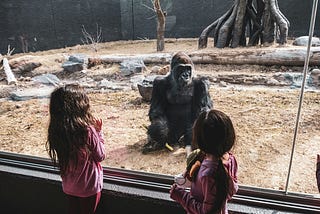 Before the humans started to speak…