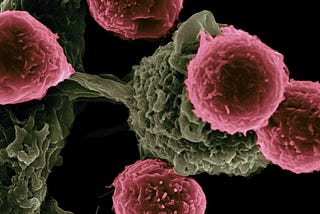 The Future of Cancer: An Introduction to New Areas in Cancer Research