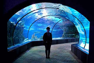 a lone person standing in a tunnel running through a large fishtank