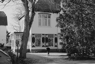 A picture of a big house with tall tree branches in a neighborhood