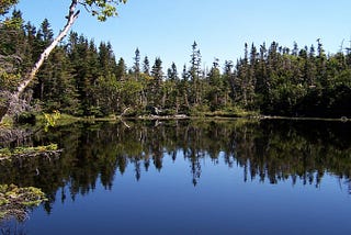 Reflection