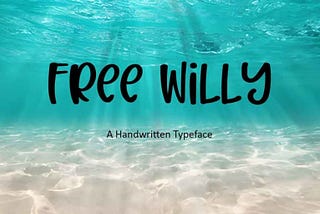 Free Willy Font