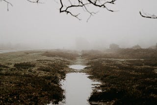 That White Bog