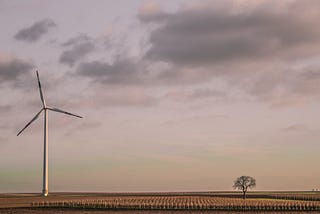 A windmill and tree stand side by side alone.