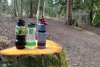 Water-To-Go Water Bottle Review