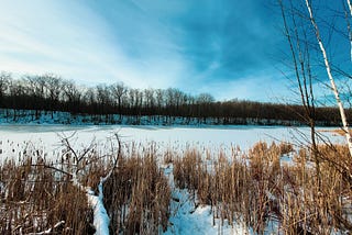 Wolf Lake (Terra Cotta, Ontario)