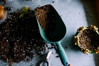 Plants, Soil, and You: How Gardening Can Boost Your Nutrition and Health