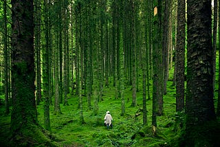 A person walking in a forest.